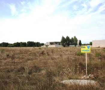 V439, Terreni Agricoli Salento